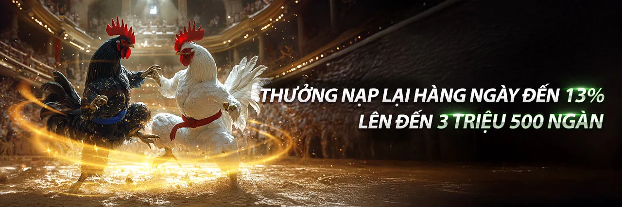 Đá Gà Trực Tuyến Sun52 Code