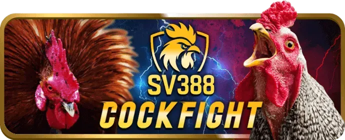 Bảo vệ dữ liệu người dùng tại sun52 code
